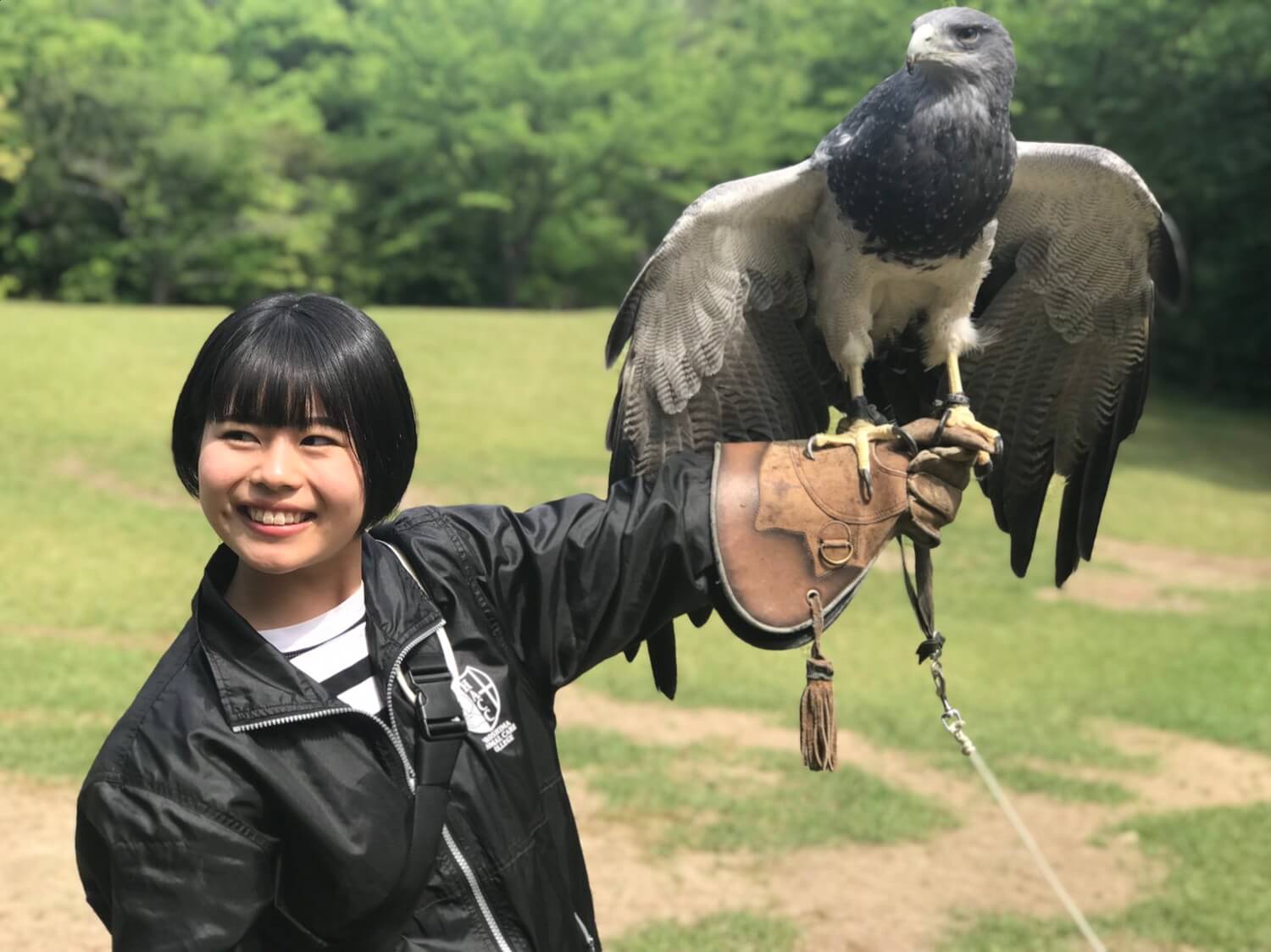 コースガイド 広島アニマルケア専門学校 コースガイド 広島アニマルケア専門学校
