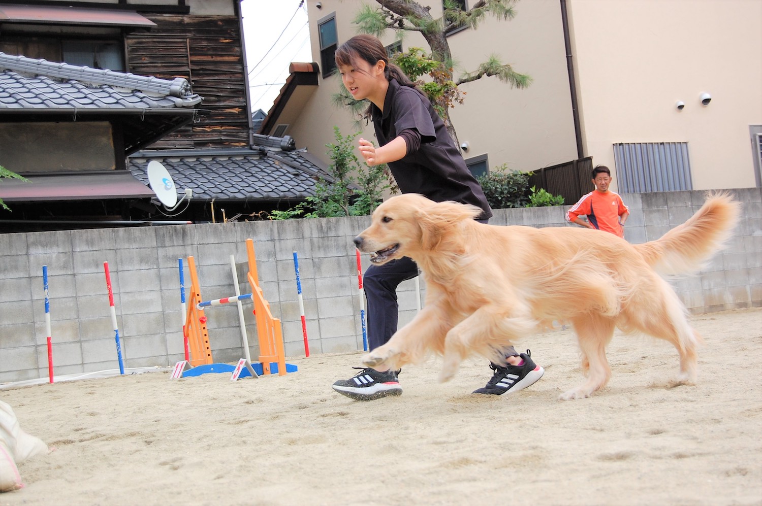 コースガイド 広島アニマルケア専門学校 コースガイド 広島アニマルケア専門学校