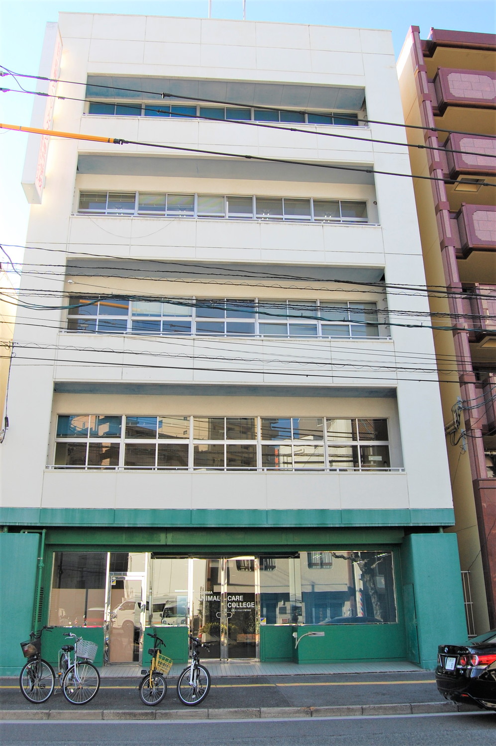 学校案内 広島アニマルケア専門学校 学校案内 広島アニマルケア専門学校