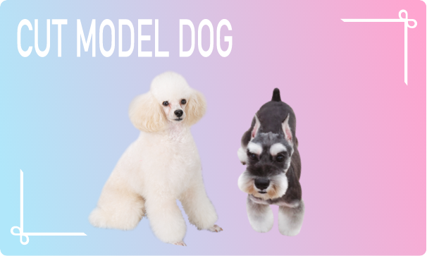 カットモデル犬