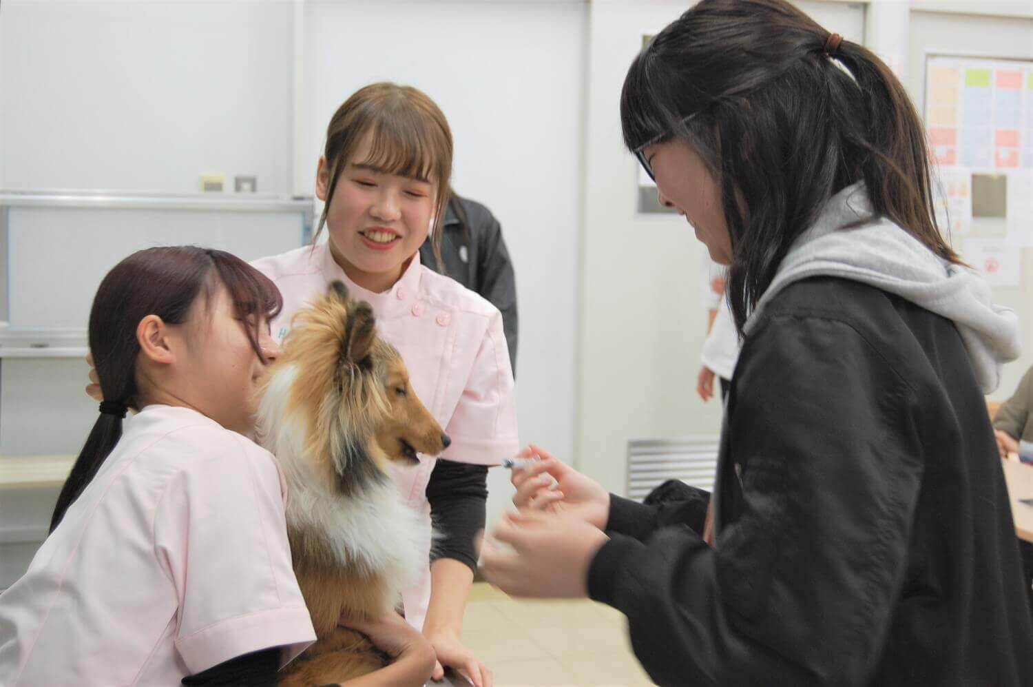 動物看護師を目指す学生から話を聞く高校生。動物の体について体験授業を聴くチャンスも。
