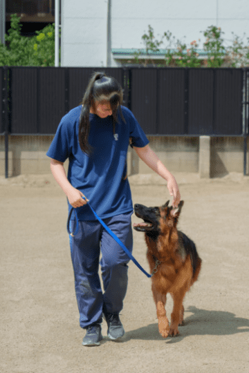 ANIMAL CARE COLLEGE 好きを未来に ここは動物好きな人たちのための学校です