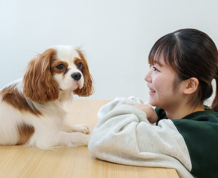 科目等履修生の写真