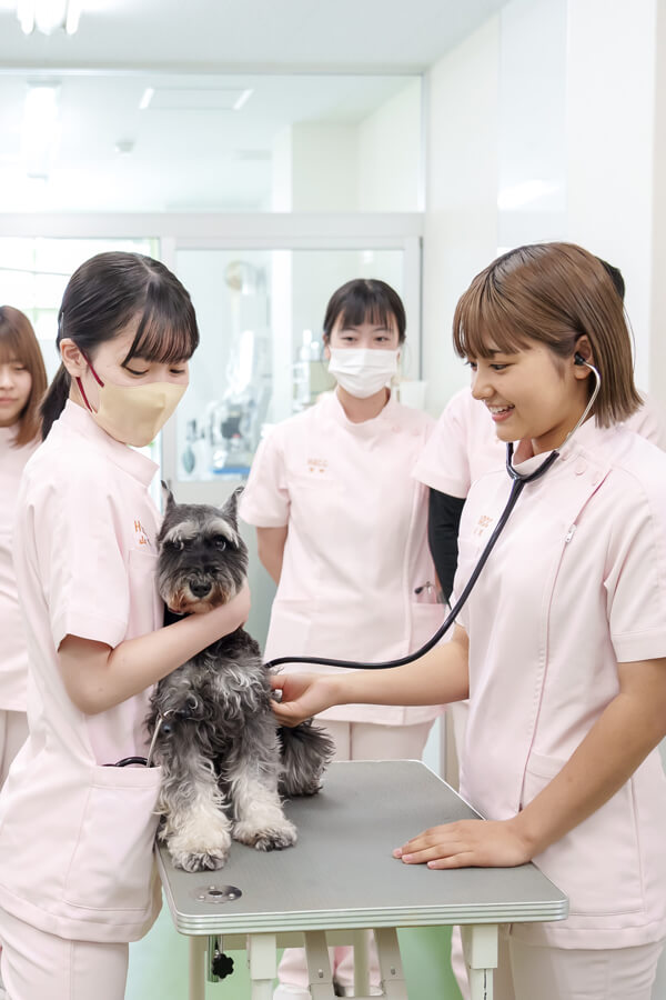 ANIMAL CARE COLLEGE 好きを未来に ここは動物好きな人たちのための学校です