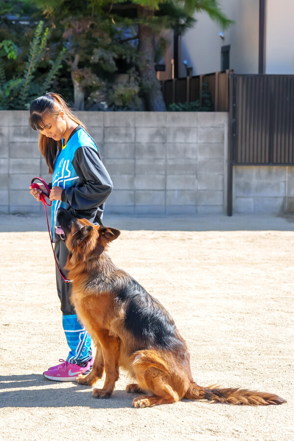 ANIMAL CARE COLLEGE 好きを未来に ここは動物好きな人たちのための学校です