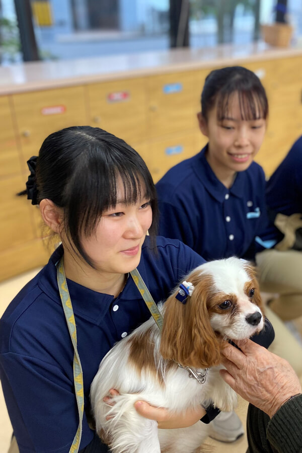 ANIMAL CARE COLLEGE 好きを未来に ここは動物好きな人たちのための学校です