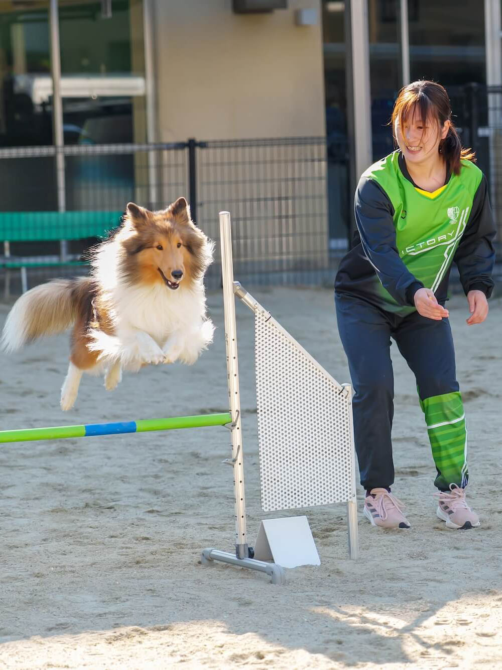 ANIMAL CARE COLLEGE 好きを未来に ここは動物好きな人たちのための学校です