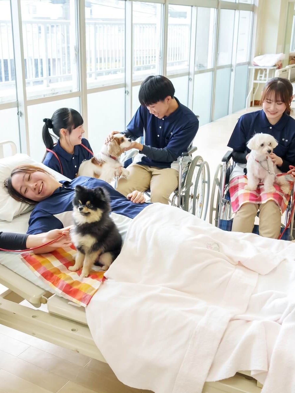 ANIMAL CARE COLLEGE 好きを未来に ここは動物好きな人たちのための学校です