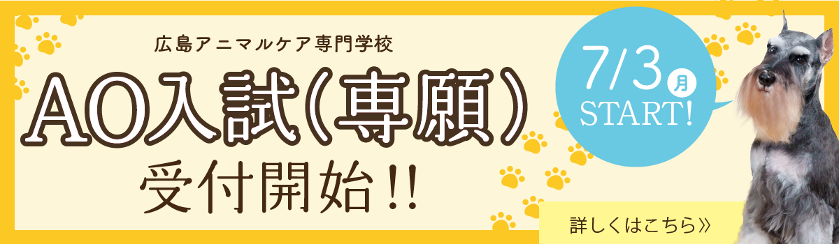 AO入試(専願)受付