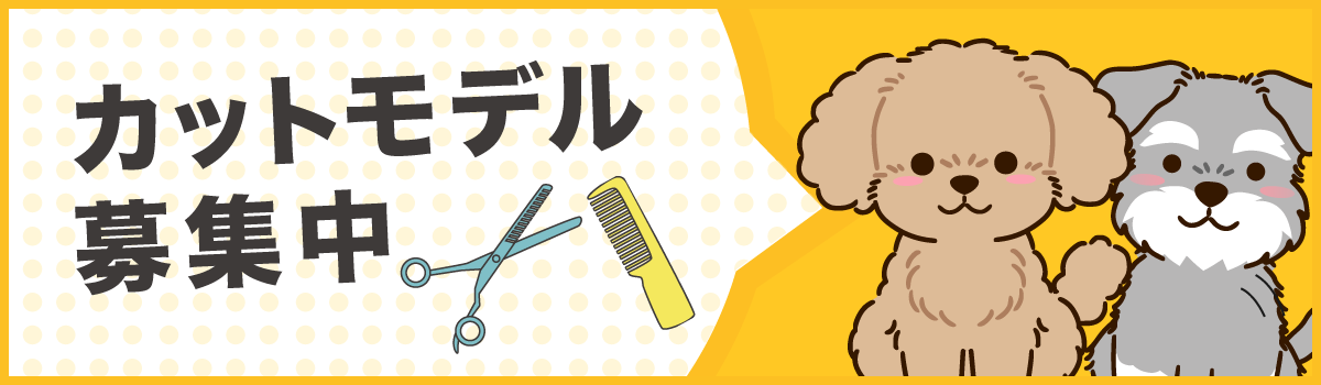 カットモデル募集中