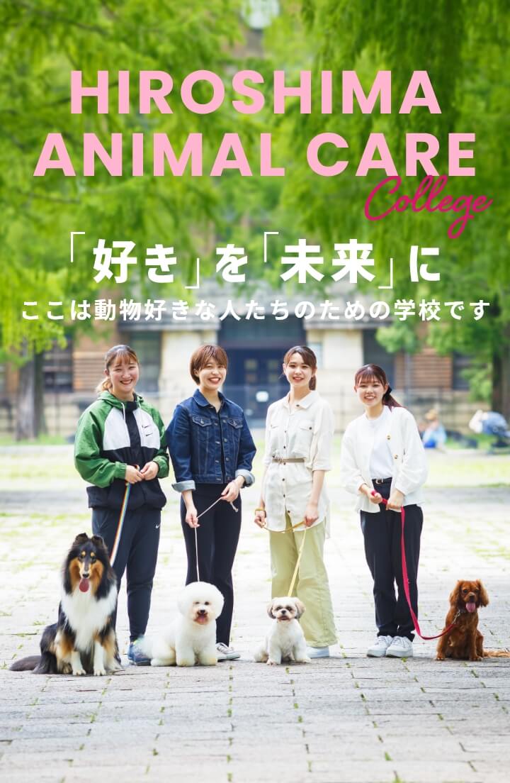 ANIMAL CARE COLLEGE 好きを未来に ここは動物好きな人たちのための学校です