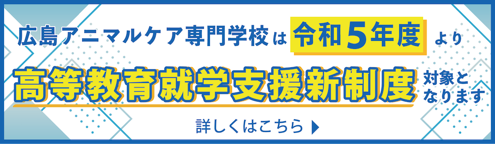 高等教育修学支援新制度