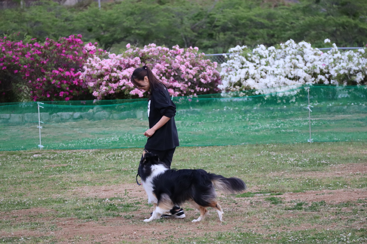 令和5年度三和合宿スタート